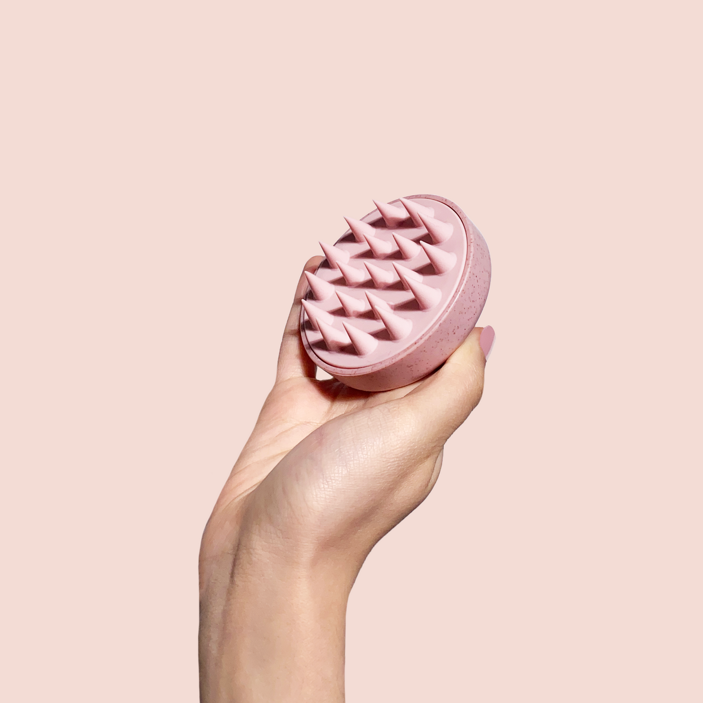 SCALP BRUSH